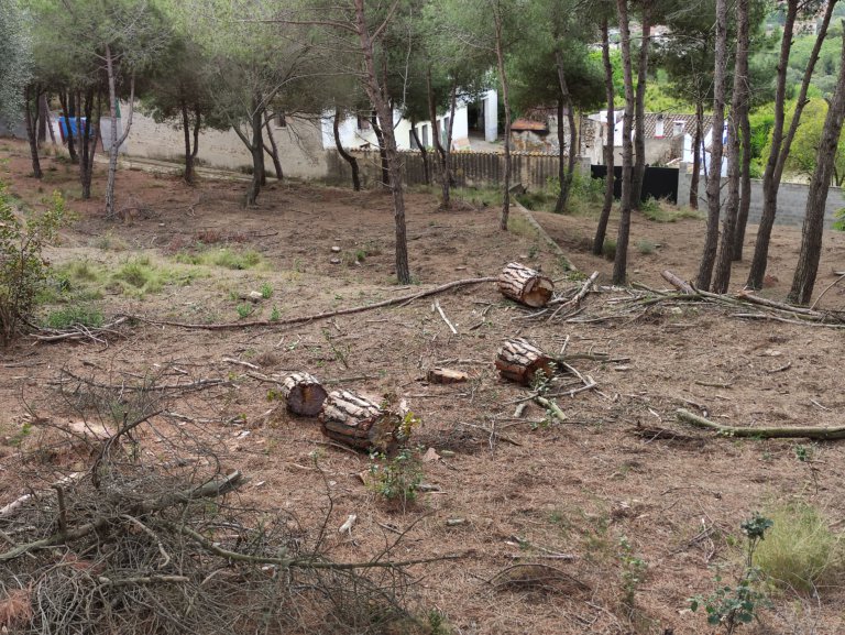 Reobre el Camí de Can Mas però amb irregularitats per part de la propietat