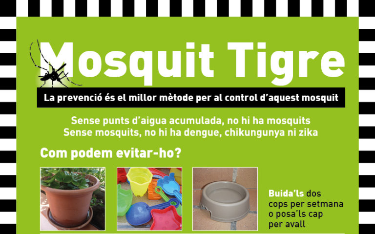 Badalona posa en marxa la campanya de prevenció del mosquit tigre