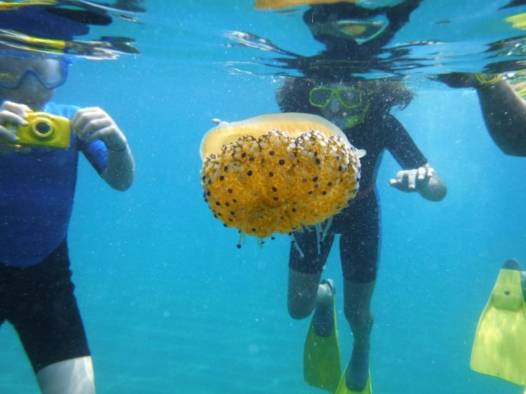 Obertes les inscripcions per fer esnòrquel a la platja de Badalona