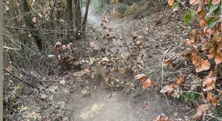 Paranys per als ciclistes a la serralada de Marina