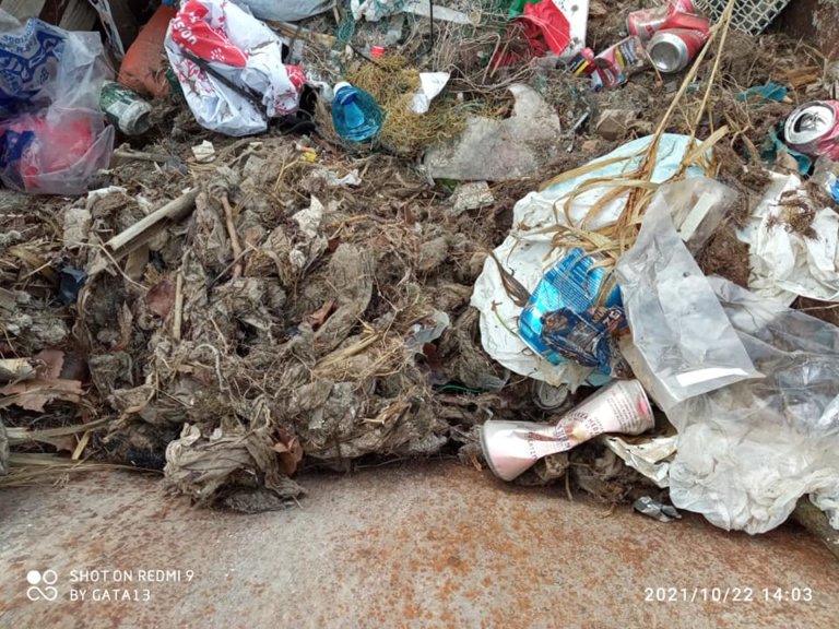 Pescadors denuncien l’excés de compreses i tovalloletes humides al mar