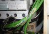 Una plaga de rates ha deixat sense internet l'edifici de la Casa de la Vila de Badalona