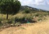 El Bosc d'en Vilaró vol tenir accés restringit