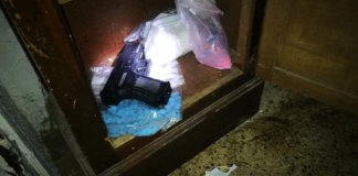 Desmantellat un magatzem de droga on també hi havia rèptils Els Mossos intervenen 33 quilos de droga de diferent naturalesa, 14.000 euros i una arma de fogueig. Els 4 detinguts, a presó.
