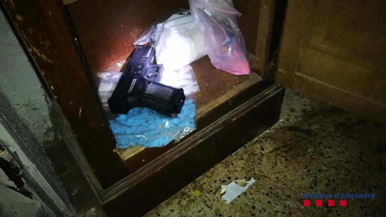 Desmantellat un magatzem de droga on també hi havia rèptils