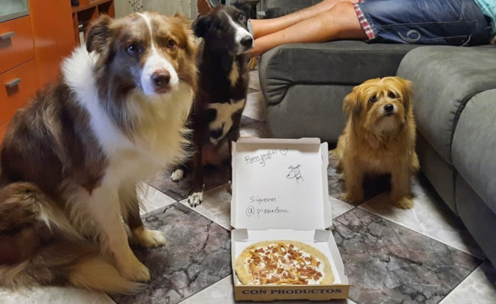 La pizzeria Pizzalona cuina pizzes artesanals per a gossos, a banda d'oferir una carta normal per humans.