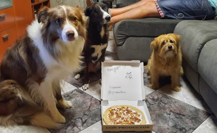 La pizzeria Pizzalona cuina pizzes artesanals per a gossos, a banda d'oferir una carta normal per humans. La pizzeria Pizzalona cuina pizzes artesanals per a gossos, a banda d'oferir una carta normal per humans.