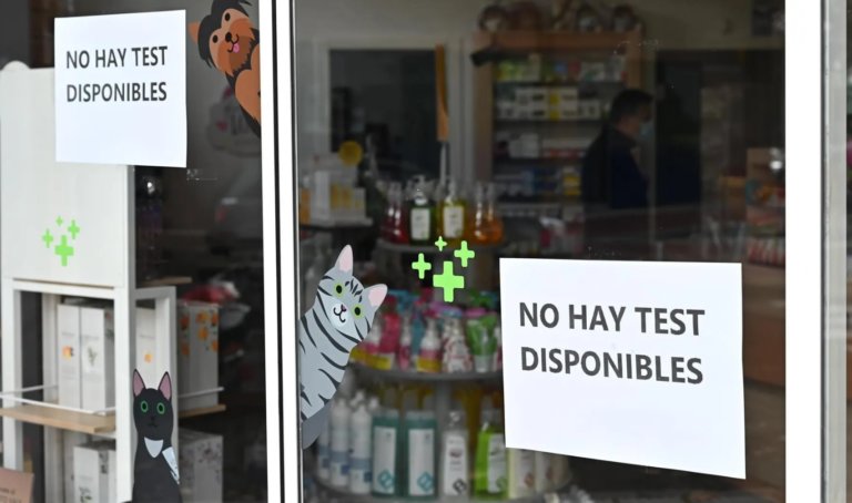 El preu dels tests d’antígens es dispara un 200% al Nadal