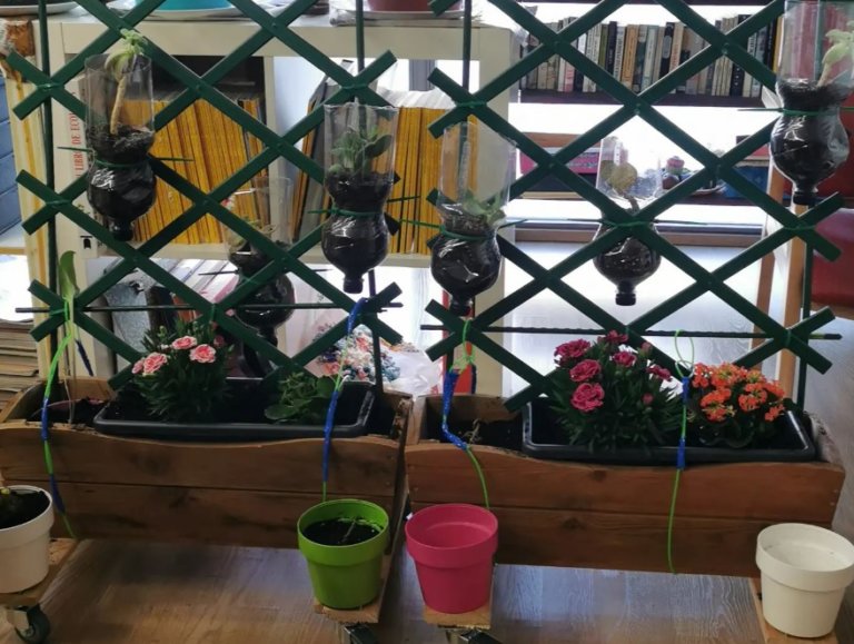 El Centre de Dia Janus fa un jardí vertical mòvil per recuperar les plantes