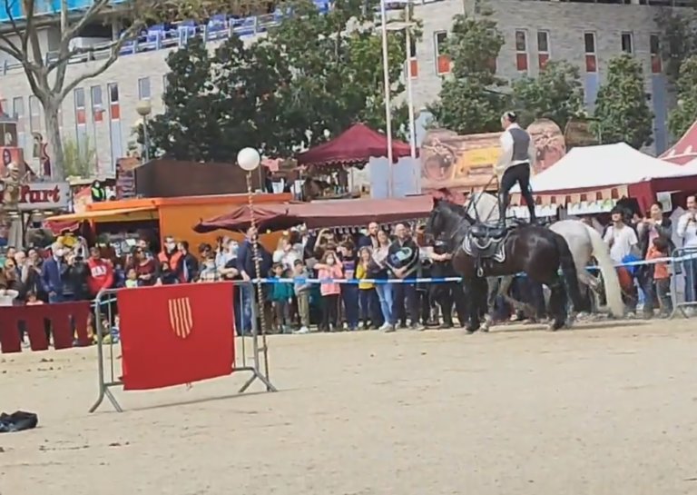 La seguretat de la Festa Medieval, a debat després d’escapar-se un cavall