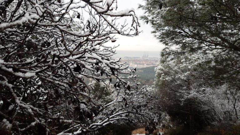 Així va ser l’emblanquinada a Badalona de fa just un any: les imatges de la nevada