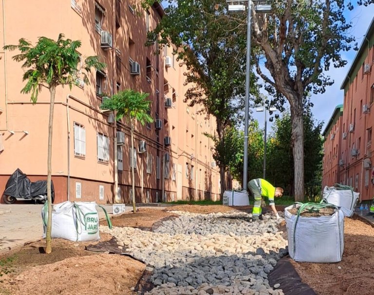 Pomar estrenarà el primer “jardí de pluja”, espais naturalitzats amb eficiència hídrica