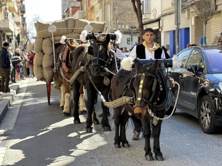 Tot a punt per a la 148 Passade de Sant Antoni, amb els nous controls