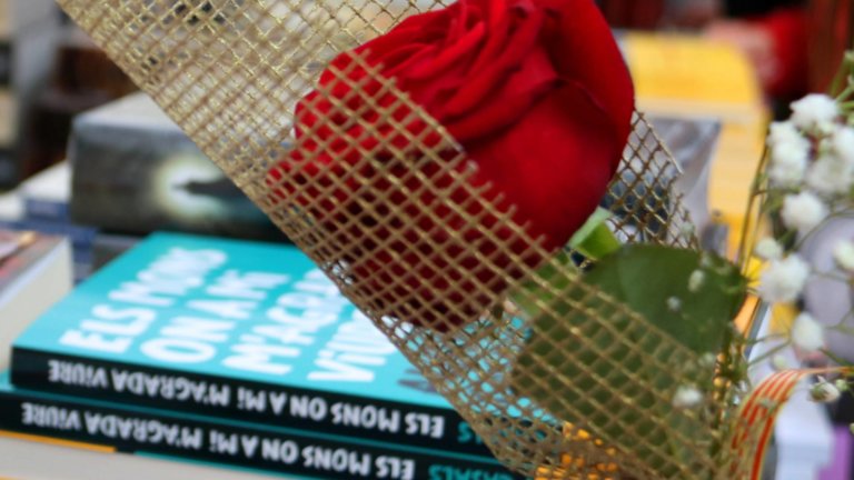 La màgia de Sant Jordi, de cap a cap de la ciutat