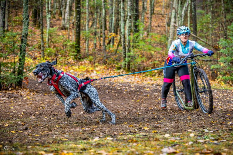 La badalonina Anna Guijarro, campiona del món de mushing als Estats Units