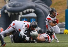 Els Badalona Dracs cauen a la Spanish Bowl davant uns Black Demons molt superiors
