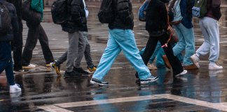 Des d’avui fins al dia 9, l’IMPO admet les solicituds per a 102 plans d’ocupacions